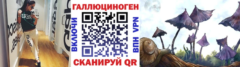 Галлюциногенные грибы Psilocybe  Лобня 